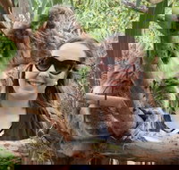 One Day Port Lincoln Tour - Tasting Eyre - Gold Coast Attractions