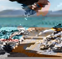 Experience Coffin Bay Oyster Farm and Bay Tour - Gold Coast Attractions