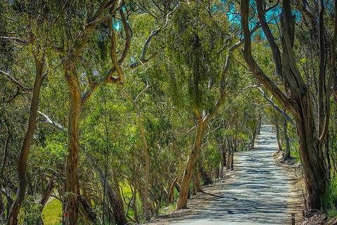 Get UnCorked In Clare Valley Tour From Adelaide - Gold Coast Attractions 6