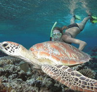 Great Barrier Reef Sailing and Snorkeling Cruise from Port Douglas - Gold Coast Attractions