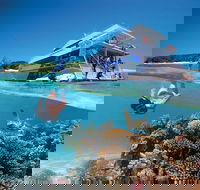 3-Day Southern Great Barrier Reef Tour Including Lady Musgrave Island