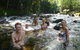 Daintree Rainforest, Cape Tribulation, Mossman Gorge In A Day - thumb 10