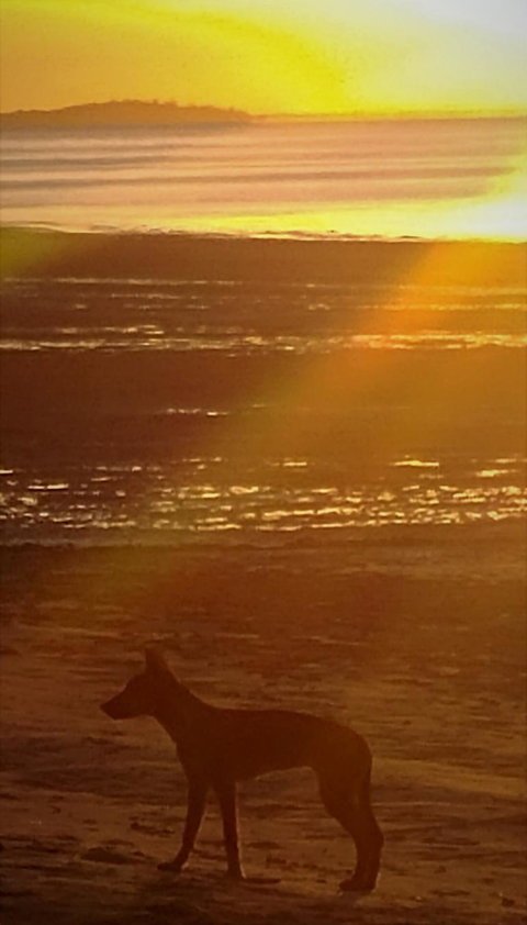 3-Day Fraser Island Resort Package - Gold Coast Attractions 3