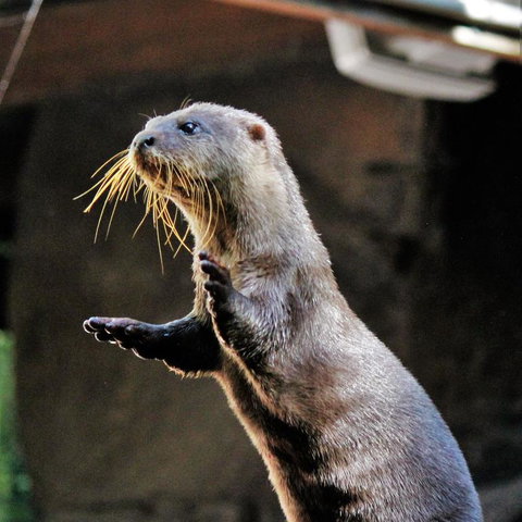 3-Day Fraser Island Resort Package - Gold Coast Attractions 4