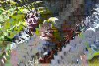 Koala Cuddle Adventure Croc 2