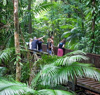 Full Day Daintree Rainforest and Mossman Gorge Tour - Gold Coast Attractions