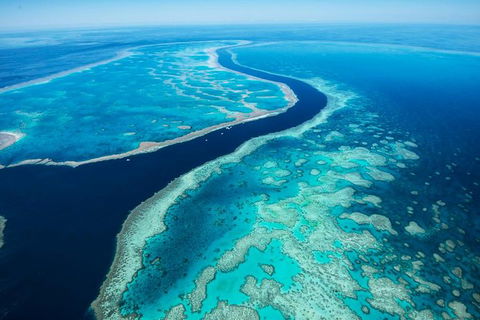 Fly & Cruise Package With Lunch - Gold Coast Attractions 6