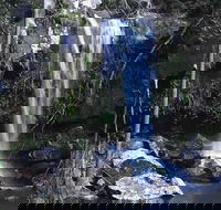 You Choose the Tour Brisbane Private Chauffeur Driven Personal Tour