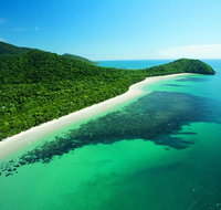 Cape Tribulation Mossman Gorge and Daintree Rainforest Day Trip from Cairns or Port Douglas - Gold Coast Attractions