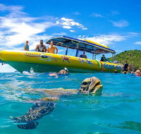 Ocean Rafting Tour to Whitehaven Beach Hill Inlet Lookout  Top Snorkel Spots - Gold Coast Attractions