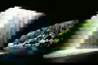 World Heritage Springbrook National Park Tour Including Natural Bridge