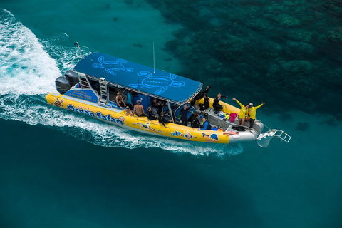 Ocean Safari Great Barrier Reef Experience In Cape Tribulation - Gold Coast Attractions 1