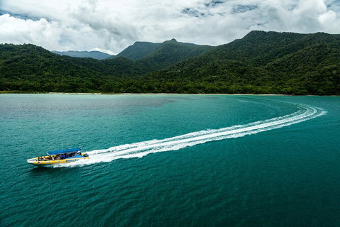 Ocean Safari Great Barrier Reef Experience In Cape Tribulation - Gold Coast Attractions 6