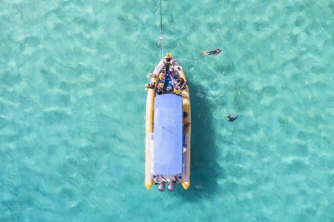 Ocean Safari Great Barrier Reef Experience In Cape Tribulation - Gold Coast Attractions 17