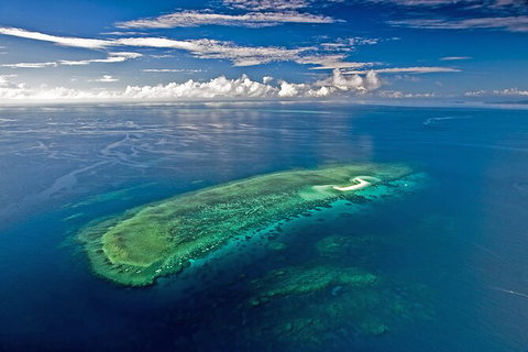 Ocean Safari Great Barrier Reef Experience In Cape Tribulation - Gold Coast Attractions 15
