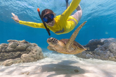 Ocean Safari Great Barrier Reef Experience In Cape Tribulation - Gold Coast Attractions 2