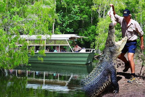 Crocs, Creatures And Culture Tour Ex Cairns - Gold Coast Attractions 1