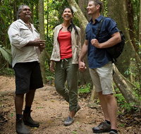 Mossman Gorge Dreamtime Walk and Low Isles Snorkeling and Sailing Cruise - Gold Coast Attractions