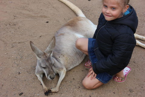 Gold Coast Attraction Pass Including Currumbin Wildlife Sanctuary And Paradise Jetboating - Gold Coast Attractions 3