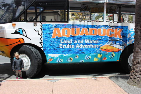 Gold Coast Attraction Pass Including Currumbin Wildlife Sanctuary And Paradise Jetboating - Gold Coast Attractions 2