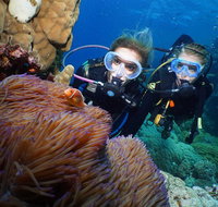 Quicksilver Dive 4 Day PADI Learn to Dive Course - Gold Coast Attractions