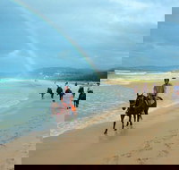 Rainbow Beach Horse Ride