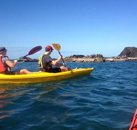 Port Douglas Half-Day Kayak Tour - Gold Coast Attractions
