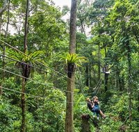 Cape Tribulation and Jungle Surfing Adventure Day from Port Douglas - Gold Coast Attractions