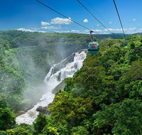 Skyrail Rainforest Cableway Day Trip from Port Douglas - Gold Coast Attractions