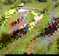 Country Day Ride from Mt Goomboorian with Rainbow Beach Horse Rides