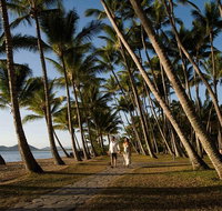 Port Douglas Round-Trip Transfer from Cairns with Free Time in Port Douglas - Gold Coast Attractions