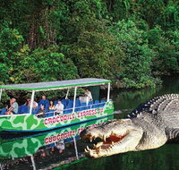 Daintree River Cruise - Gold Coast Attractions