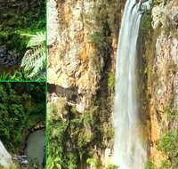 Rainforest  Waterfalls Extravaganza - Gold Coast Attractions