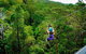 Tamborine Mountain Daily Service, Treetop Challenge And Thunderbird Park - thumb 9