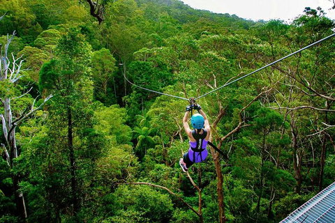 Tamborine Mountain Daily Service, Treetop Challenge And Thunderbird Park - Gold Coast Attractions 9