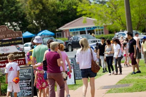 Tamborine Mountain Daily Service, Treetop Challenge And Thunderbird Park - Gold Coast Attractions 6