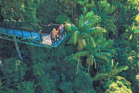 Tamborine Mountain Daily Service, Treetop Challenge And Thunderbird Park - Gold Coast Attractions 12
