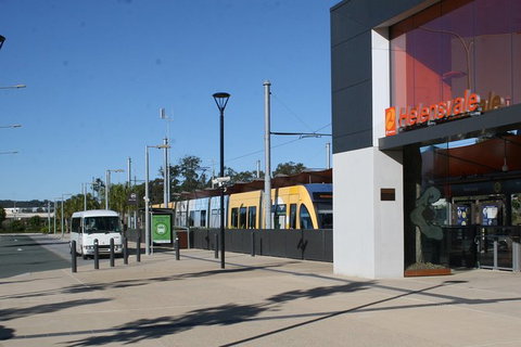 Tamborine Mountain Daily Service, Treetop Challenge And Thunderbird Park - Gold Coast Attractions 2