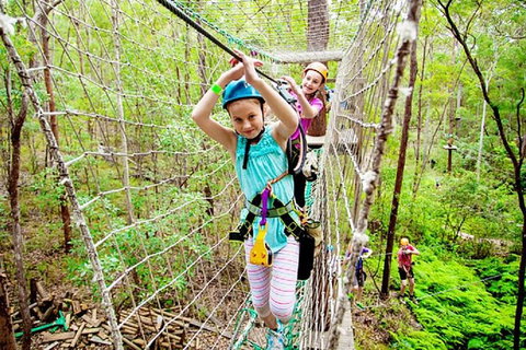 Tamborine Mountain Daily Service, Treetop Challenge And Thunderbird Park - Gold Coast Attractions 4