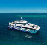 AquaQuest Great Barrier Reef Diving and Snorkeling Cruise from Port Douglas - Gold Coast Attractions