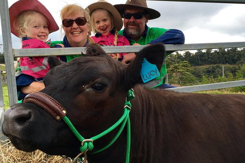 Mackay's Day In The Clouds Paddock To Plate Tour - Gold Coast Attractions 0