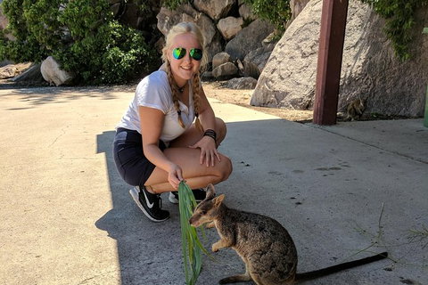 Magnetic Island Tour: Maggie Comprehensive - Gold Coast Attractions 9