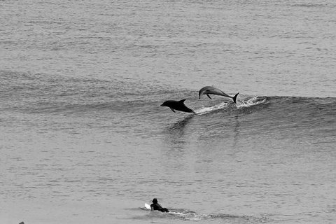 Overnight Tweed Coast Camping And Surfing Getaway From The Gold Coast - Gold Coast Attractions 2