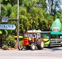 Tropical Fruit World with Wildlife Boat Cruise from Gold Coast - Gold Coast Attractions