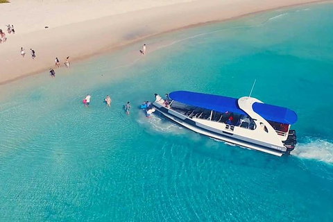 Whitehaven Beach Day Tour With Snorkel In Whitsundays Island - Gold Coast Attractions 0