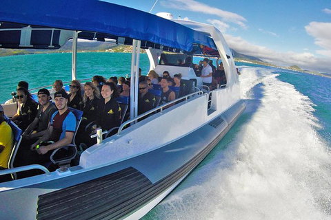 Whitehaven Beach Day Tour With Snorkel In Whitsundays Island - Gold Coast Attractions 12