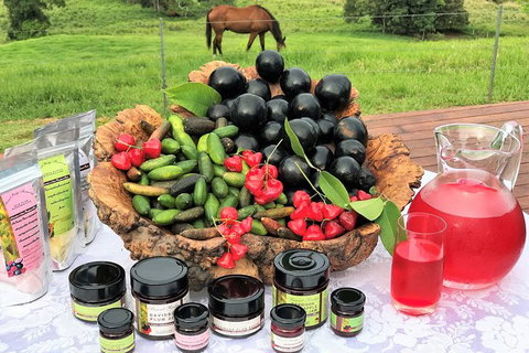 Atherton Tablelands Small-Group Food & Wine Tasting Tour From Port Douglas - Gold Coast Attractions 12