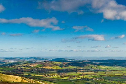 Atherton Tablelands Small-Group Food & Wine Tasting Tour From Port Douglas - Gold Coast Attractions 20