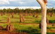 Atherton Tablelands Small-Group Food & Wine Tasting Tour From Port Douglas - thumb 18