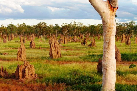 Atherton Tablelands Small-Group Food & Wine Tasting Tour From Port Douglas - Gold Coast Attractions 18